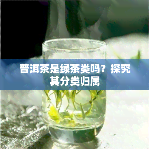 普洱茶是绿茶类吗？探究其分类归属