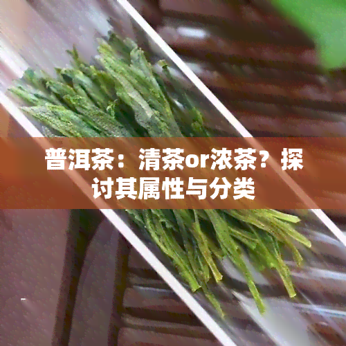 普洱茶：清茶or浓茶？探讨其属性与分类