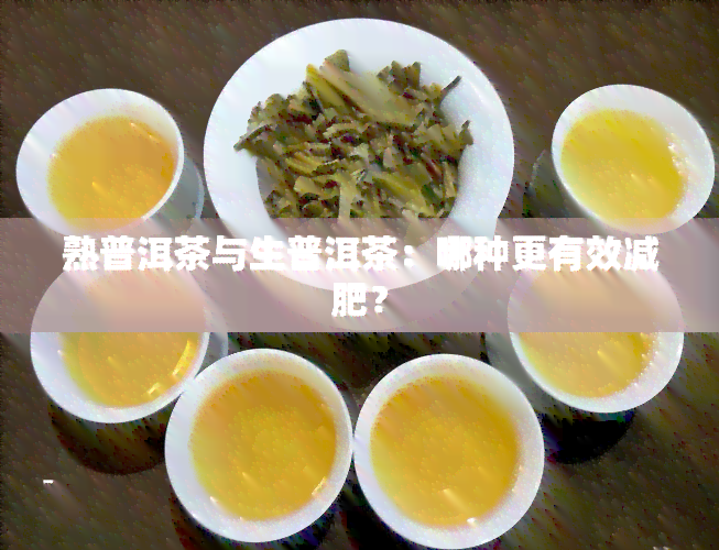 熟普洱茶与生普洱茶：哪种更有效减肥？