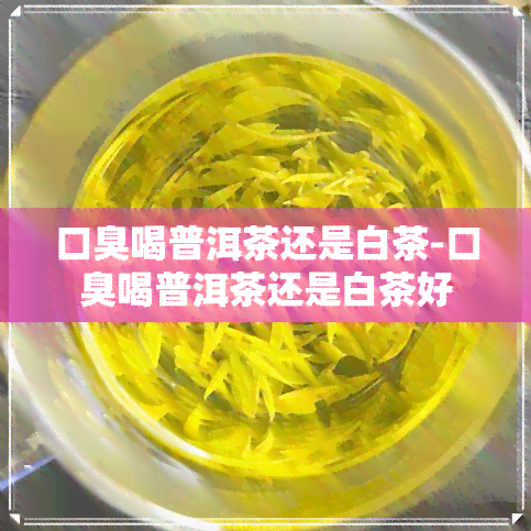 口臭喝普洱茶还是白茶-口臭喝普洱茶还是白茶好