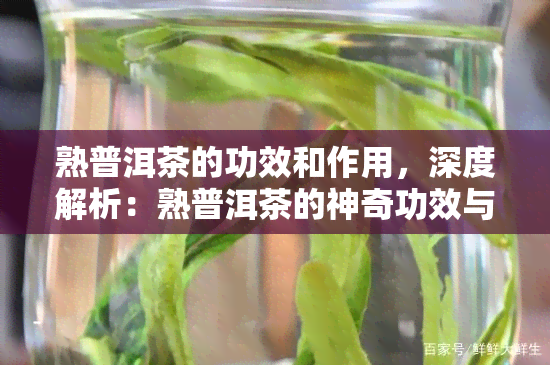 熟普洱茶的功效和作用，深度解析：熟普洱茶的神奇功效与作用