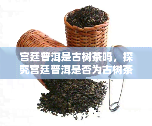 宫廷普洱是古树茶吗，探究宫廷普洱是否为古树茶的真相