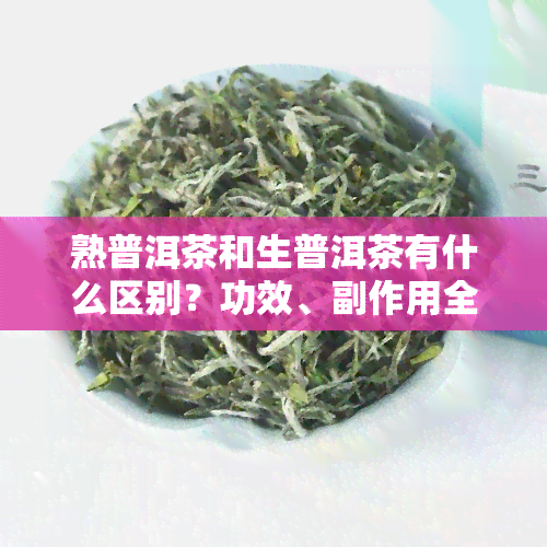 熟普洱茶和生普洱茶有什么区别？功效、副作用全面解析