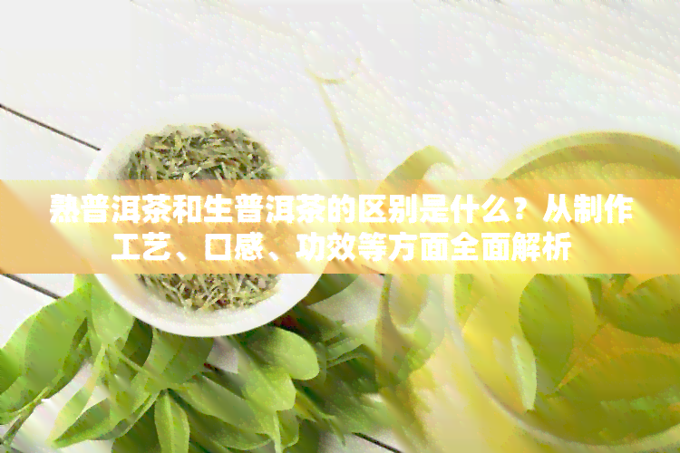 熟普洱茶和生普洱茶的区别是什么？从制作工艺、口感、功效等方面全面解析