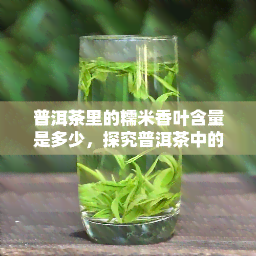 普洱茶里的糯米香叶含量是多少，探究普洱茶中的糯米香叶含量