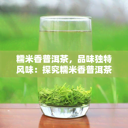 糯米香普洱茶，品味独特风味：探究糯米香普洱茶的魅力