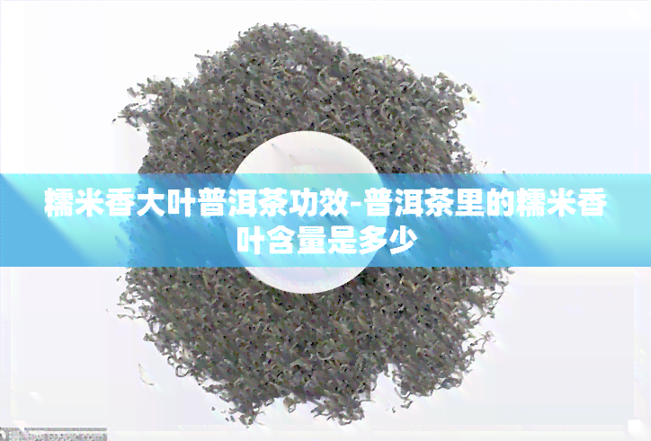 糯米香大叶普洱茶功效-普洱茶里的糯米香叶含量是多少