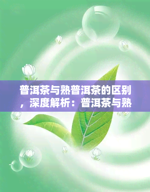 普洱茶与熟普洱茶的区别，深度解析：普洱茶与熟普洱茶的五大区别