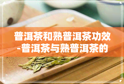 普洱茶和熟普洱茶功效-普洱茶与熟普洱茶的区别