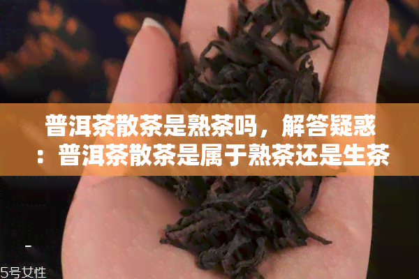 普洱茶散茶是熟茶吗，解答疑惑：普洱茶散茶是属于熟茶还是生茶？