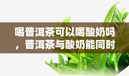 喝普洱茶可以喝酸奶吗，普洱茶与酸奶能同时饮用吗？