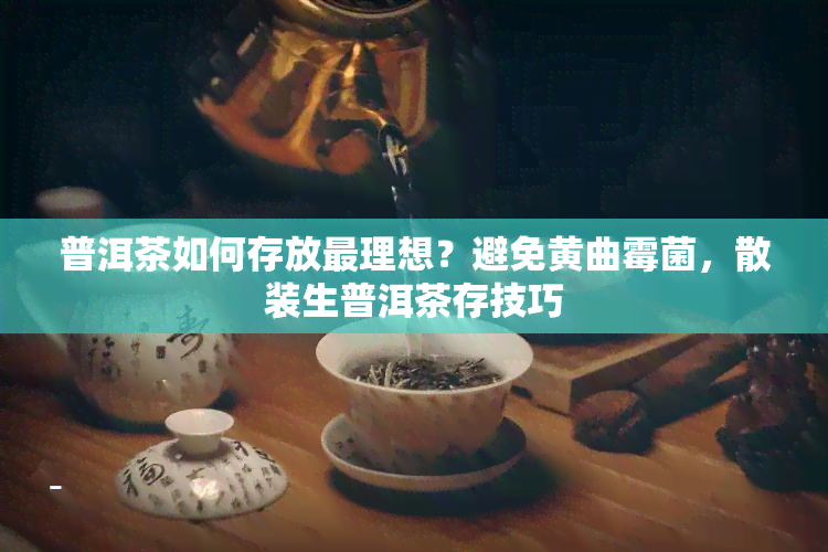 普洱茶如何存放最理想？避免黄曲霉菌，散装生普洱茶存技巧