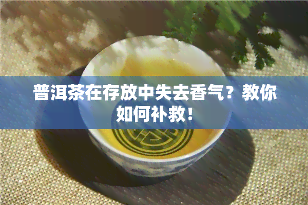 普洱茶在存放中失去香气？教你如何补救！