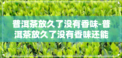 普洱茶放久了没有香味-普洱茶放久了没有香味还能喝吗