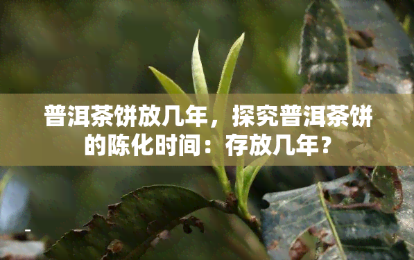 普洱茶饼放几年，探究普洱茶饼的陈化时间：存放几年？