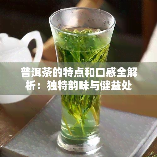 普洱茶的特点和口感全解析：独特韵味与健益处