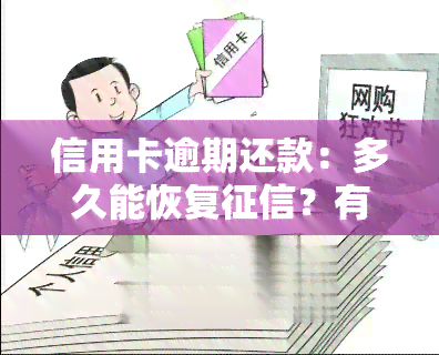 信用卡逾期还款：多久能恢复？有何影响？违约金、利息能否免除？