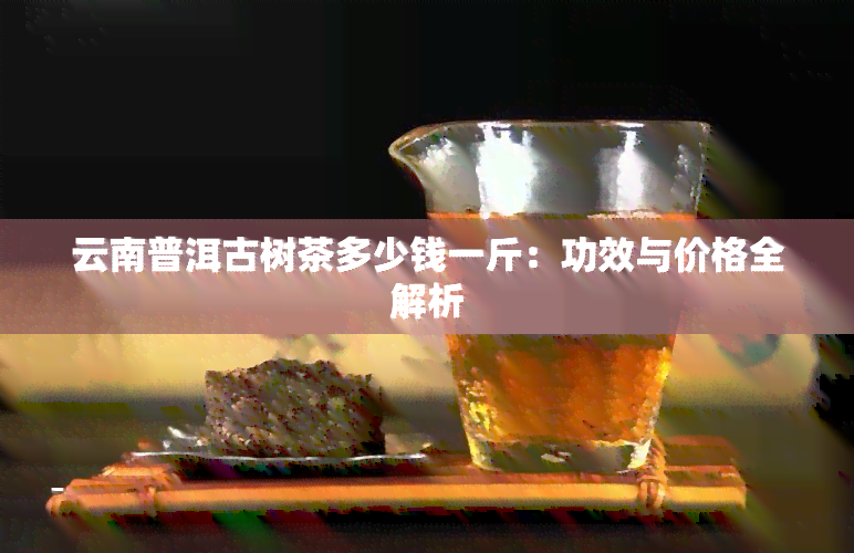 云南普洱古树茶多少钱一斤：功效与价格全解析