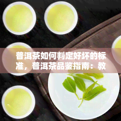 普洱茶如何判定好坏的标准，普洱茶品鉴指南：教你判断茶叶优劣的五大标准