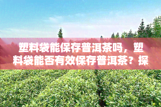 塑料袋能保存普洱茶吗，塑料袋能否有效保存普洱茶？探讨其可行性与注意事