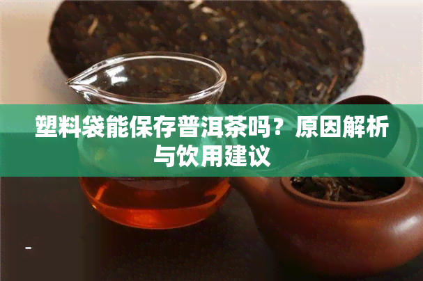 塑料袋能保存普洱茶吗？原因解析与饮用建议