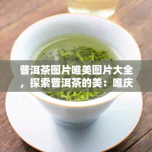 普洱茶图片唯美图片大全，探索普洱茶的美：唯庆茶图片大全