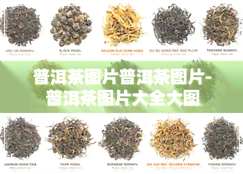 普洱茶图片普洱茶图片-普洱茶图片大全大图