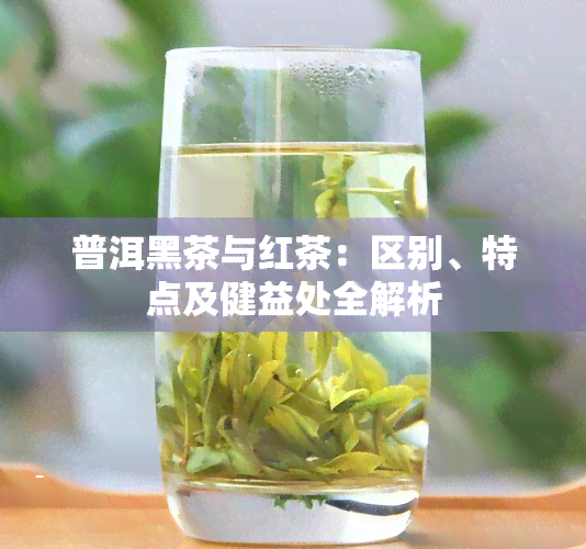 普洱黑茶与红茶：区别、特点及健益处全解析