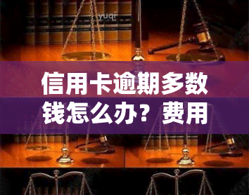 信用卡逾期多数钱怎么办？费用、坐牢风险全解析！