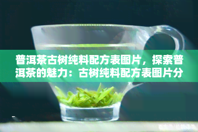 普洱茶古树纯料配方表图片，探索普洱茶的魅力：古树纯料配方表图片分享