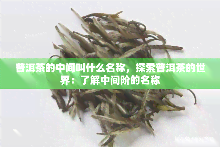 普洱茶的中间叫什么名称，探索普洱茶的世界：了解中间阶的名称