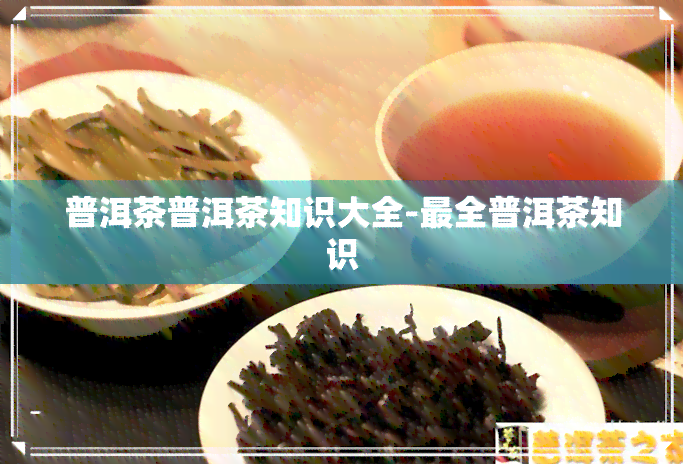 普洱茶普洱茶知识大全-最全普洱茶知识