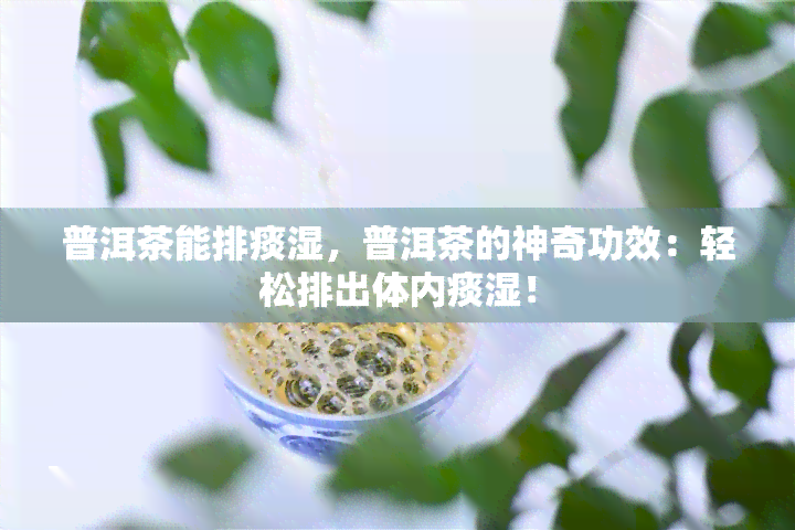 普洱茶能排痰湿，普洱茶的神奇功效：轻松排出体内痰湿！