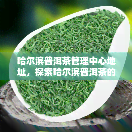 哈尔滨普洱茶管理中心地址，探索哈尔滨普洱茶的世界：揭秘管理中心地址