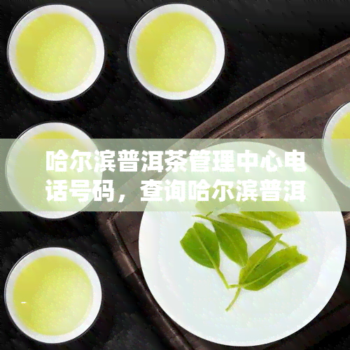 哈尔滨普洱茶管理中心电话号码，查询哈尔滨普洱茶管理中心联系方式，拨打电话号码获取最新信息！