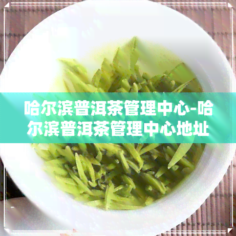 哈尔滨普洱茶管理中心-哈尔滨普洱茶管理中心地址