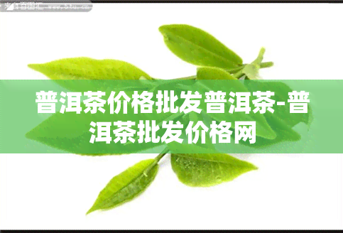 普洱茶价格批发普洱茶-普洱茶批发价格网