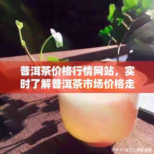 普洱茶价格行情网站，实时了解普洱茶市场价格走势，尽在专业行情网站！