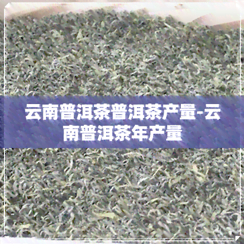 云南普洱茶普洱茶产量-云南普洱茶年产量