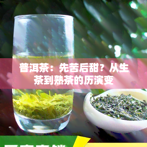 普洱茶：先苦后甜？从生茶到熟茶的历演变