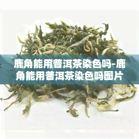 鹿角能用普洱茶染色吗-鹿角能用普洱茶染色吗图片