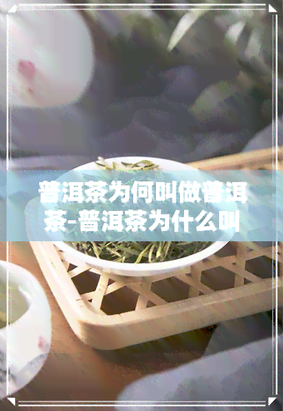 普洱茶为何叫做普洱茶-普洱茶为什么叫普洱茶