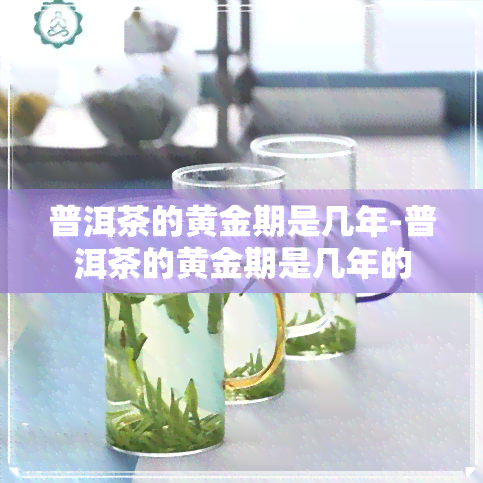 普洱茶的黄金期是几年-普洱茶的黄金期是几年的