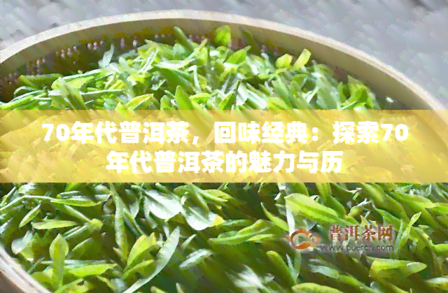 70年代普洱茶，回味经典：探索70年代普洱茶的魅力与历