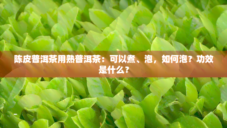 陈皮普洱茶用熟普洱茶：可以煮、泡，如何泡？功效是什么？