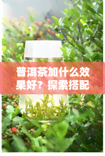 普洱茶加什么效果好？探索搭配与口感提升方法