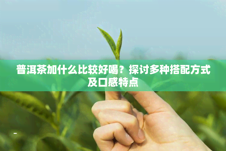 普洱茶加什么比较好喝？探讨多种搭配方式及口感特点