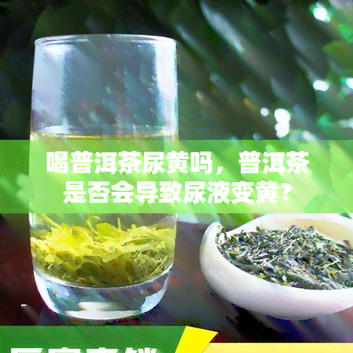 喝普洱茶尿黄吗，普洱茶是否会导致尿液变黄？