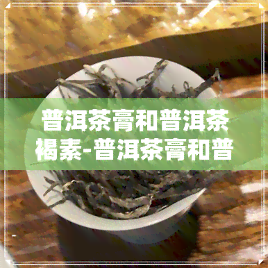 普洱茶膏和普洱茶褐素-普洱茶膏和普洱茶的区别