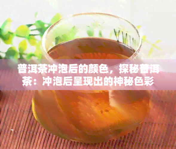 普洱茶冲泡后的颜色，探秘普洱茶：冲泡后呈现出的神秘色彩